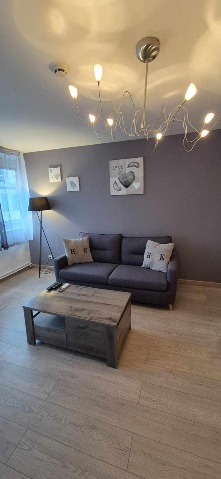 Nouveau !! Appartement Confortable Totalement Renove Avec Parking Gratuit - Hypercentre De Нансі Екстер'єр фото