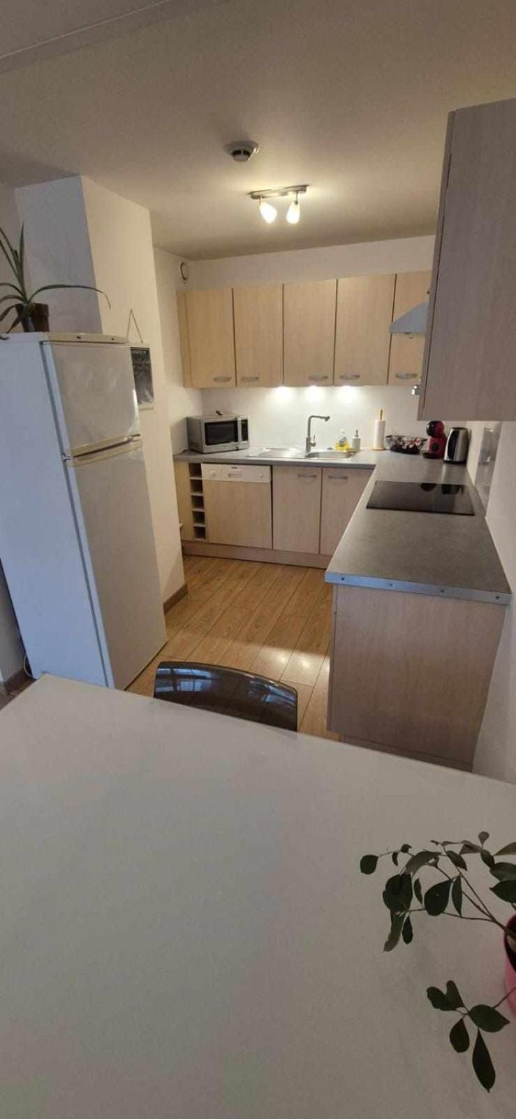 Nouveau !! Appartement Confortable Totalement Renove Avec Parking Gratuit - Hypercentre De Нансі Екстер'єр фото